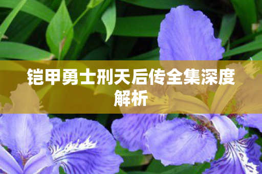 铠甲勇士刑天后传全集深度解析图片
