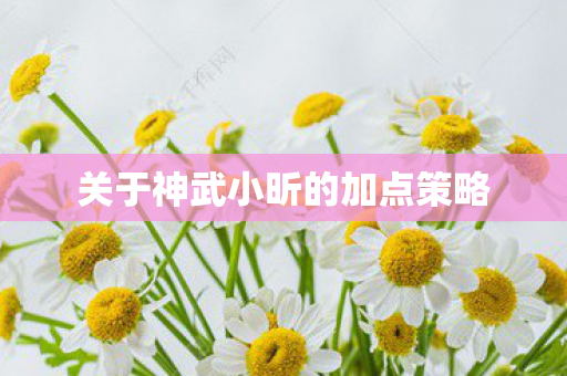 关于神武小昕的加点策略图片
