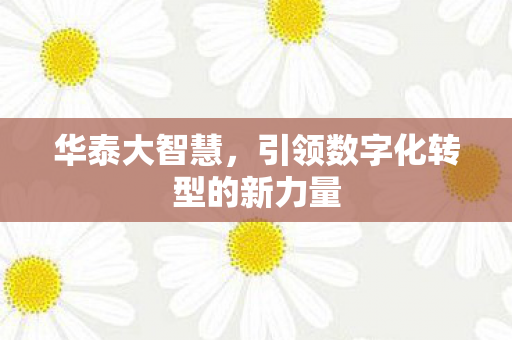 引领数字化转型的新力量图片