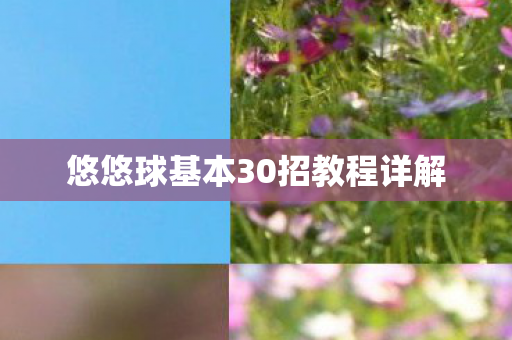 悠悠球基本30招教程详解图片