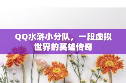 一段虚拟世界的英雄传奇图片
