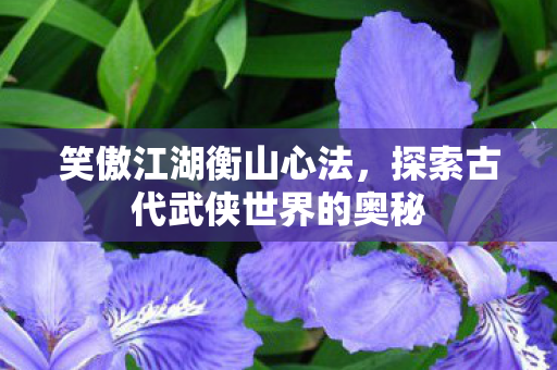 探索古代武侠世界的奥秘图片