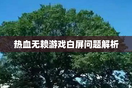 热血无赖游戏白屏问题解析图片
