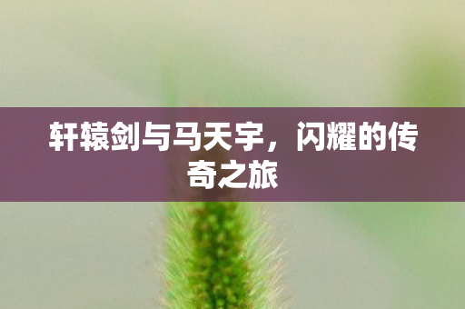 轩辕剑与马天宇图片