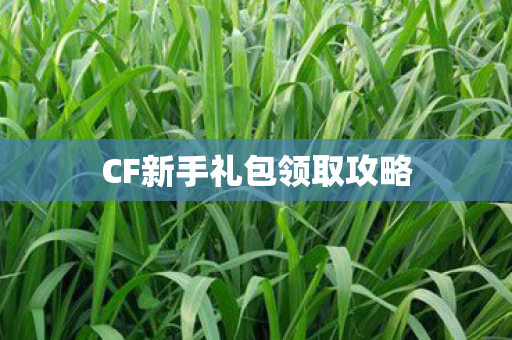 CF新手礼包领取攻略图片
