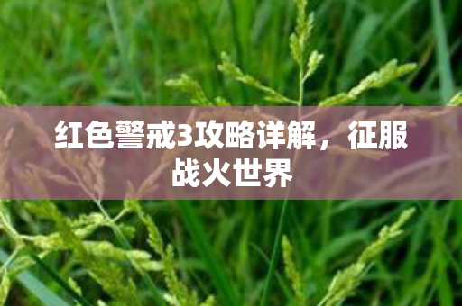 红色警戒3攻略详解图片
