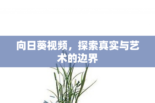 探索真实与艺术的边界图片