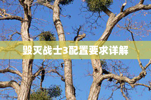 毁灭战士3配置要求详解图片