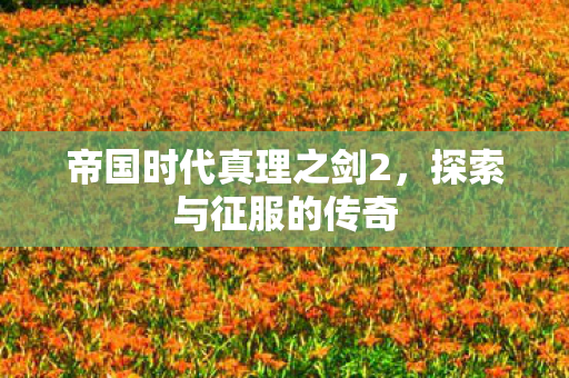 帝国时代真理之剑2图片
