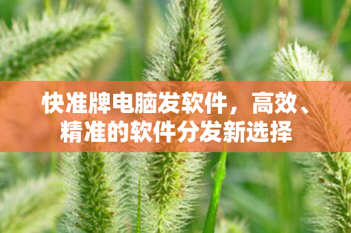 精准的软件分发新选择图片
