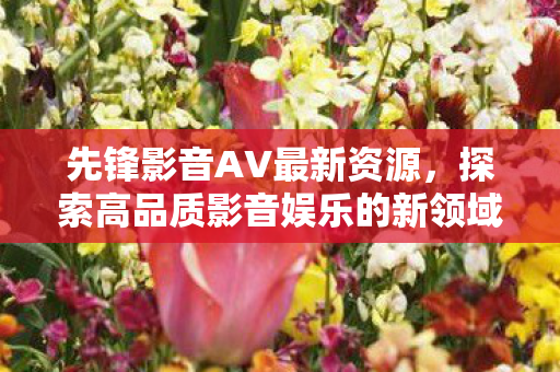 探索高品质影音娱乐的新领域图片