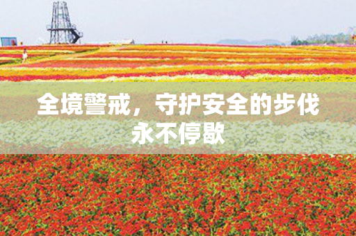 守护安全的步伐永不停歇图片
