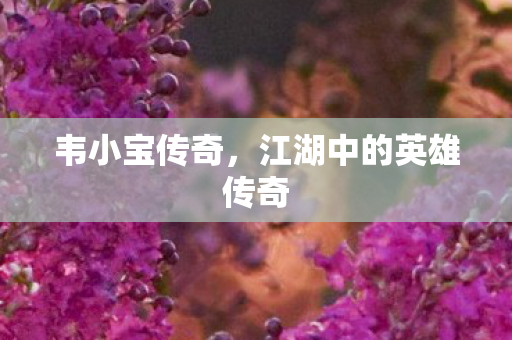 江湖中的英雄传奇图片