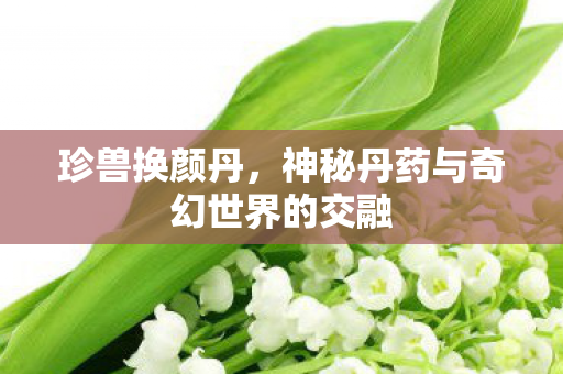 神秘丹药与奇幻世界的交融图片
