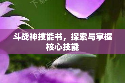 探索与掌握核心技能图片