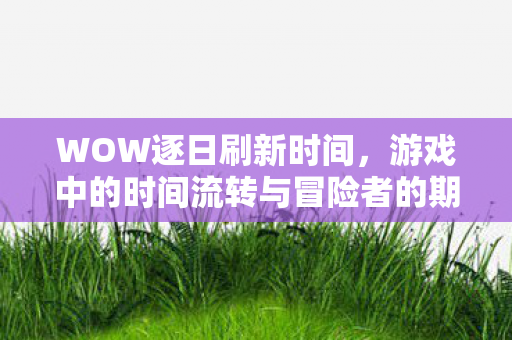 游戏中的时间流转与冒险者的期待图片