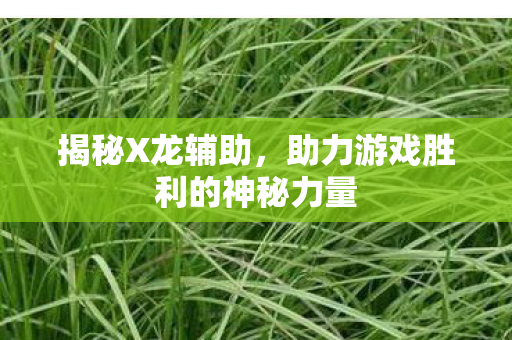 助力游戏胜利的神秘力量图片