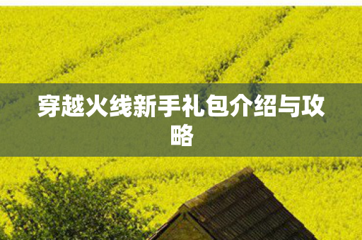 穿越火线新手礼包介绍与攻略图片