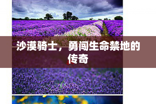 勇闯生命禁地的传奇图片