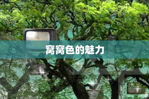窝窝色的魅力图片