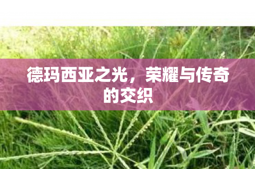 荣耀与传奇的交织图片