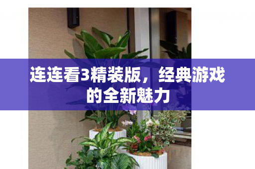 经典游戏的全新魅力图片