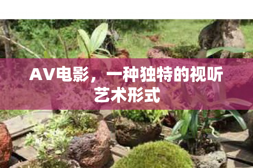 一种独特的视听艺术形式图片