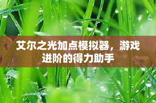 艾尔之光加点模拟器图片