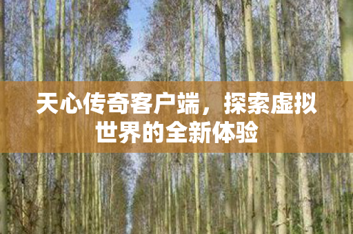 探索虚拟世界的全新体验图片