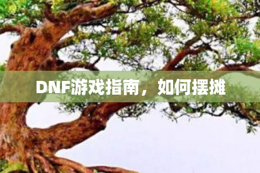 DNF游戏指南图片