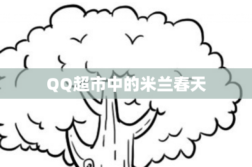 QQ超市中的米兰春天图片