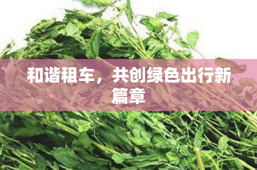 共创绿色出行新篇章图片