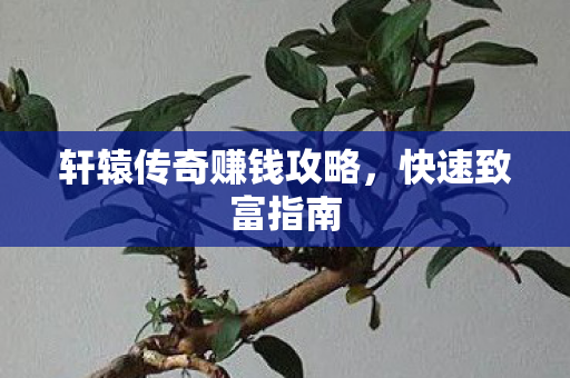 轩辕传奇赚钱攻略图片