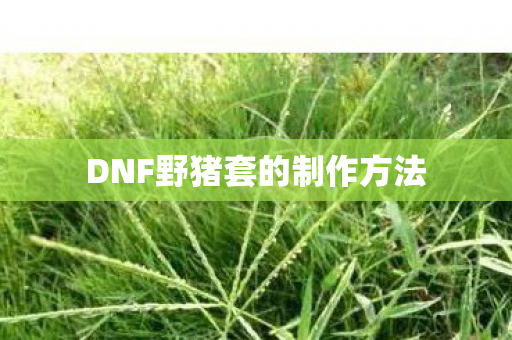 DNF野猪套的制作方法图片