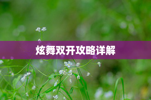 炫舞双开攻略详解图片