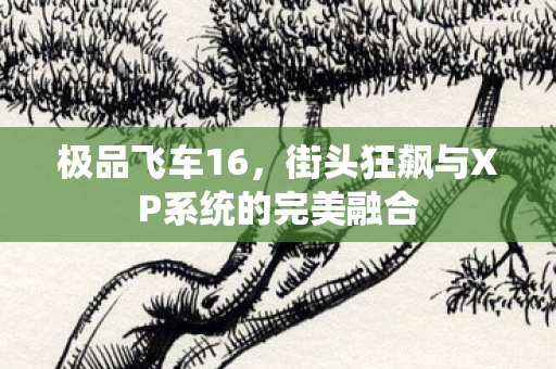 街头狂飙与XP系统的完美融合图片