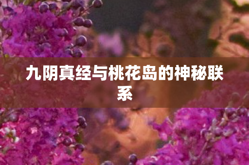 九阴真经与桃花岛的神秘联系图片
