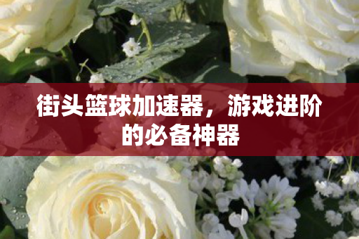 游戏进阶的必备神器图片
