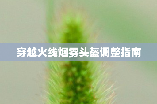 穿越火线烟雾头盔调整指南图片
