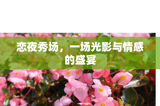 一场光影与情感的盛宴图片
