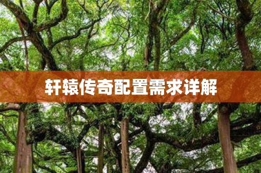 轩辕传奇配置需求详解图片