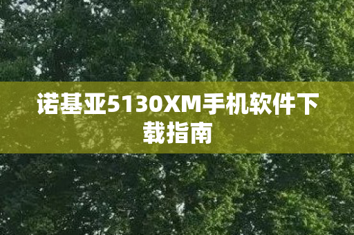 诺基亚5130XM手机软件下载指南图片