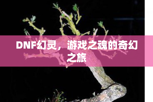 游戏之魂的奇幻之旅图片