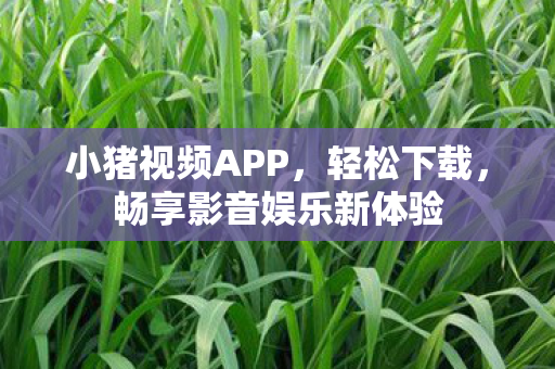 畅享影音娱乐新体验图片