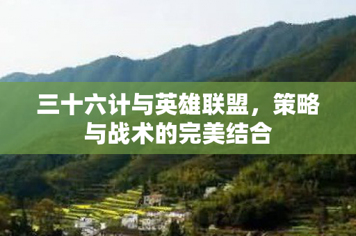 策略与战术的完美结合图片