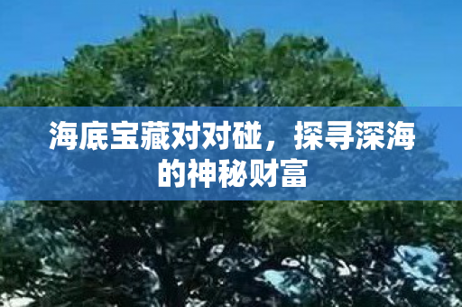 探寻深海的神秘财富图片