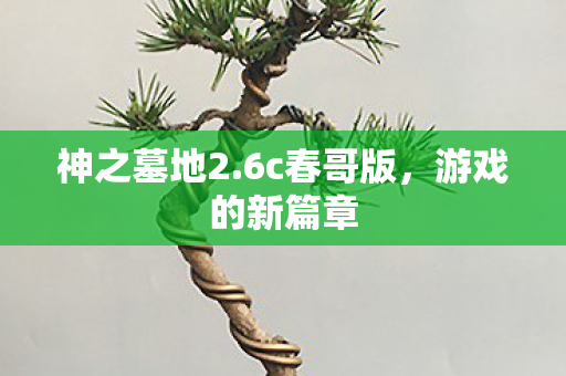 游戏的新篇章图片