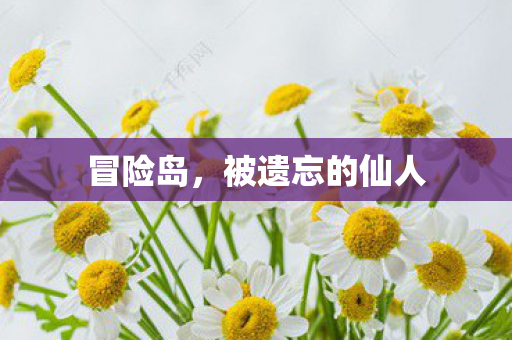 被遗忘的仙人图片