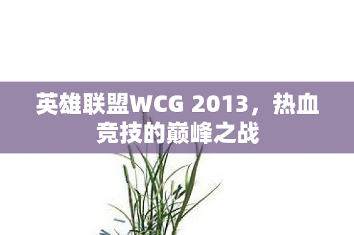 英雄联盟WCG 2013图片