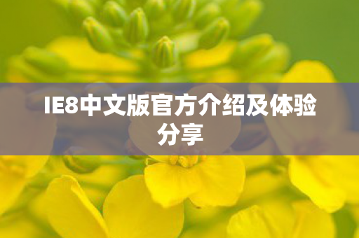 IE8中文版官方介绍及体验分享图片